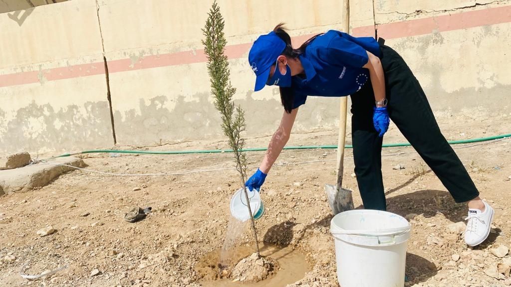 شابة تزرع شجرة في تل قصب بسنجار