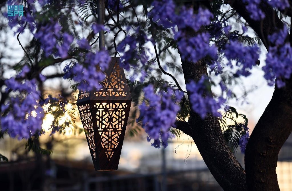 بالصور ربيع "الجاكرندا" يجذب الزوار لمدينة أبها السعودية