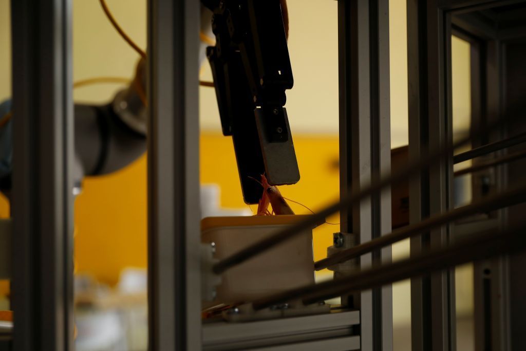 تعرف على الروبوت الشيف الإسباني 4 تعرف على الروبوت الشيف الإسباني