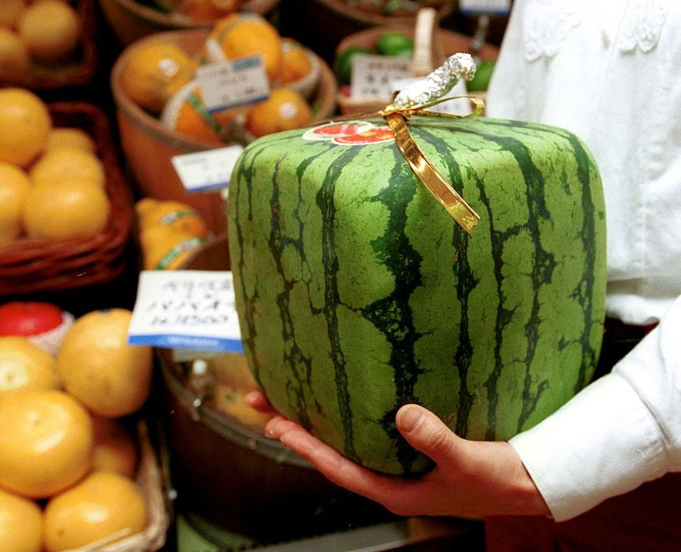 بيع بطيختين بحوالي 25 ألف دولار في اليابان