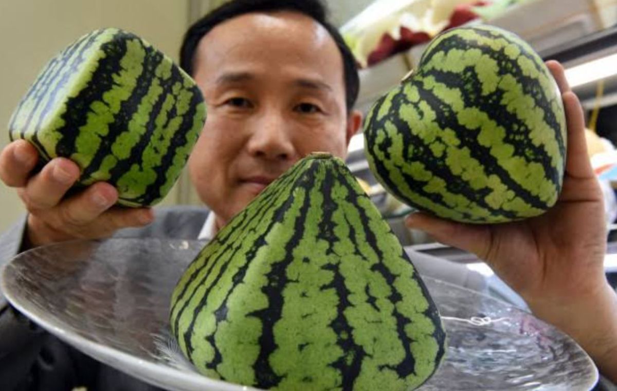 بيع بطيختين بحوالي 25 ألف دولار في اليابان