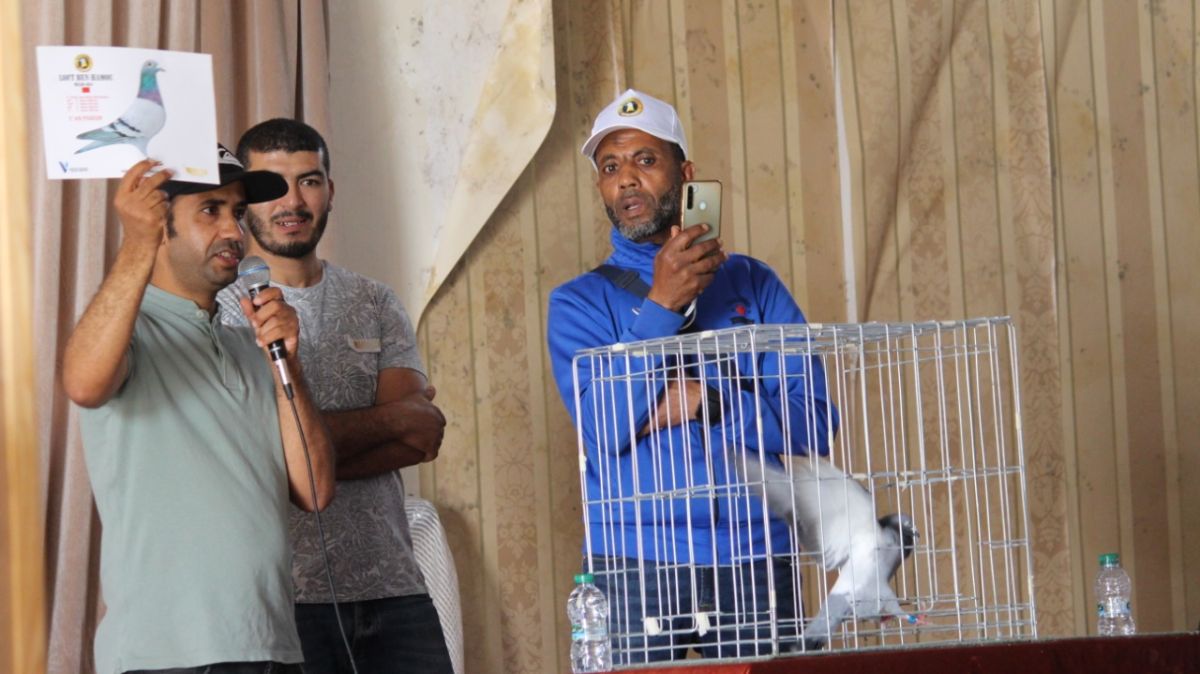 تتويج 45 فائزًا في ديربي مراكش الدولي للحمام الزاجل