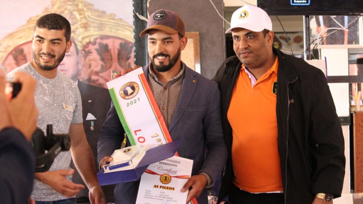 تتويج 45 فائزًا في ديربي مراكش الدولي للحمام الزاجل