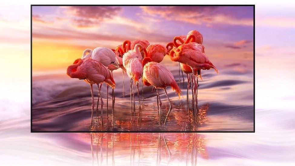 اخترنا لكم: تلفزيون Samsung QLED أو LG OLED أيهما تشتري؟ 3 اخترنا لكم: تلفزيون Samsung QLED أو LG OLED أيهما تشتري؟