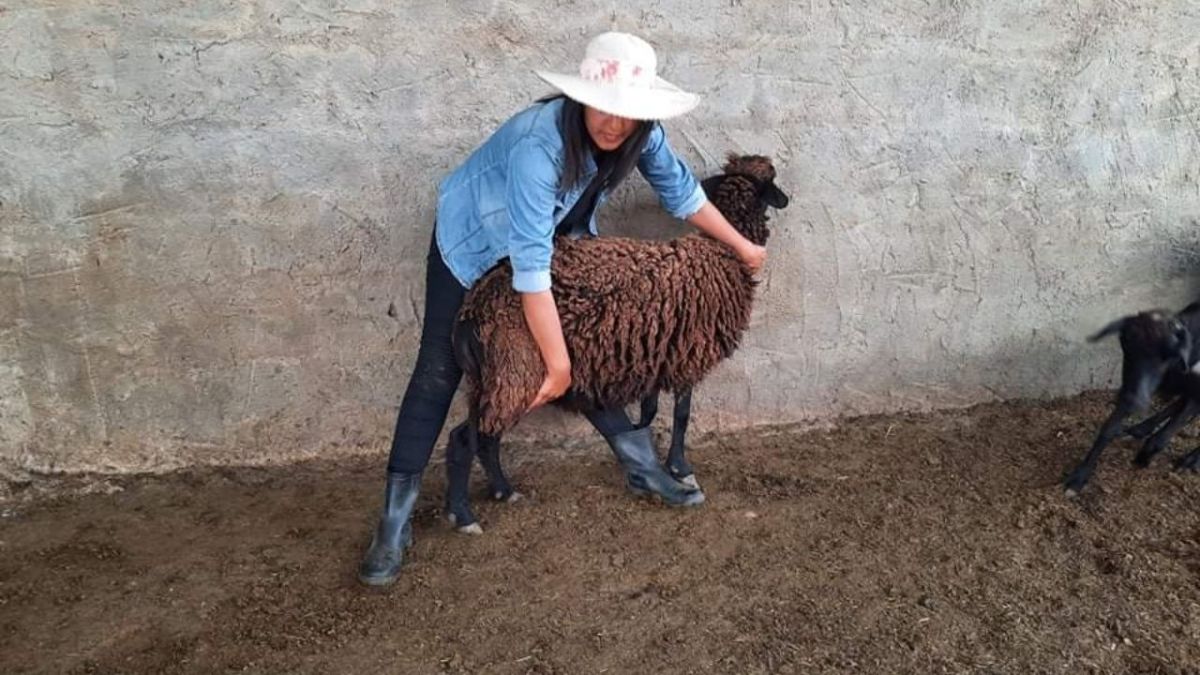 صاحبة شهادة عليا في تونس اختارت العمل الفلاحي على البطالة