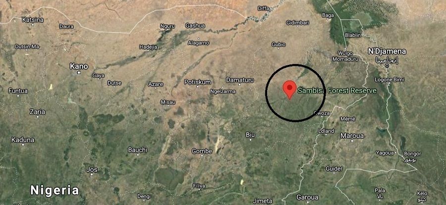 بعد مقتل شيكاو.. أيّ مستقبل للإقتتال "الجهادي" شمال نيجيريا؟