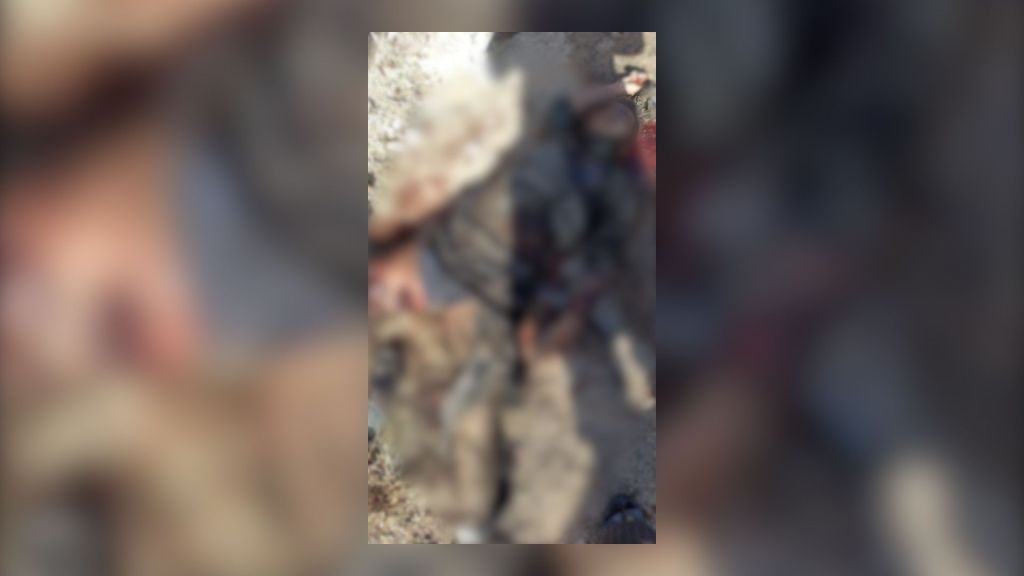 هيئة تحرير الشام تؤكّد مقتل الناطق العسكري باسمها أبو خالد الشامي