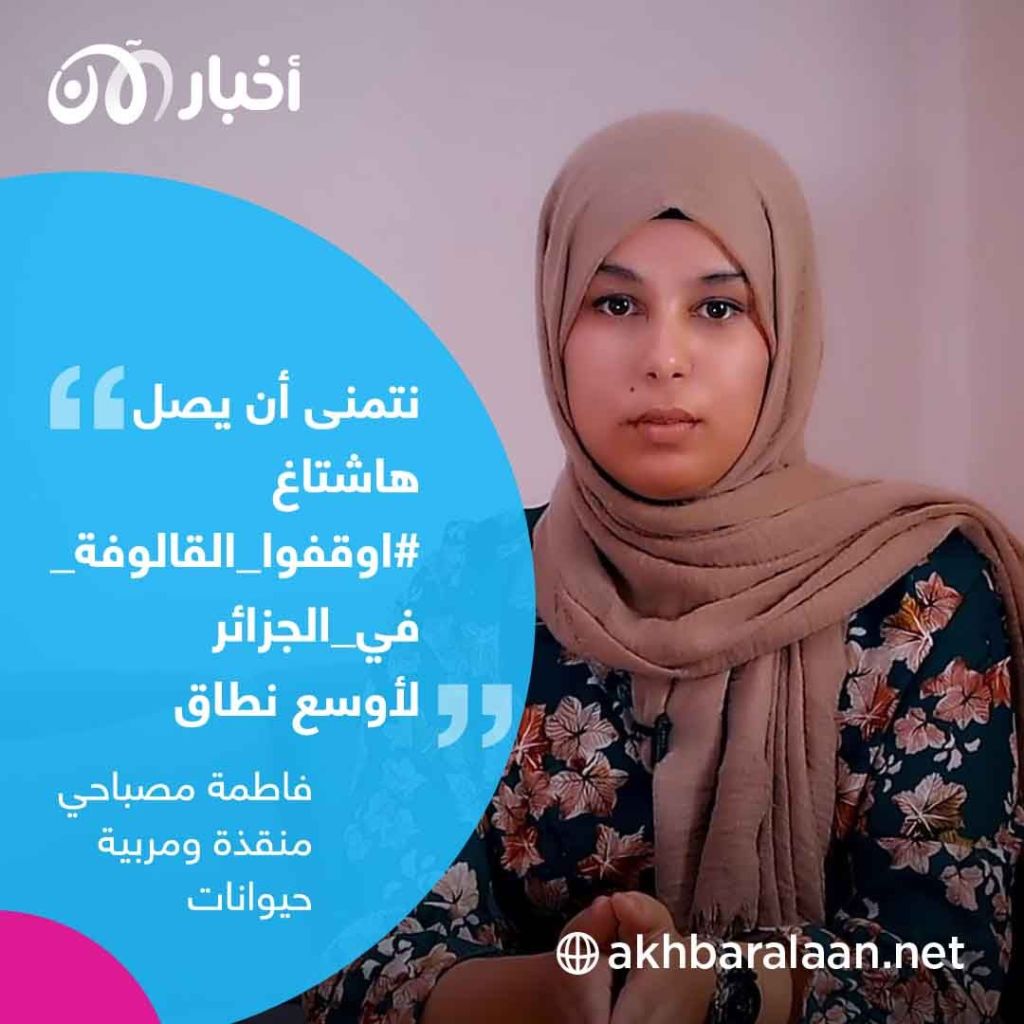 أوقفوا قتل القطط والكلاب الضالة.. حملة في الجزائر لوقف “القالوفة"