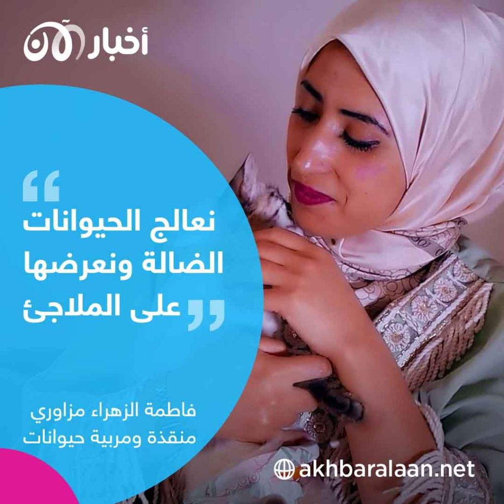 أوقفوا قتل القطط والكلاب الضالة.. حملة في الجزائر لوقف “القالوفة"