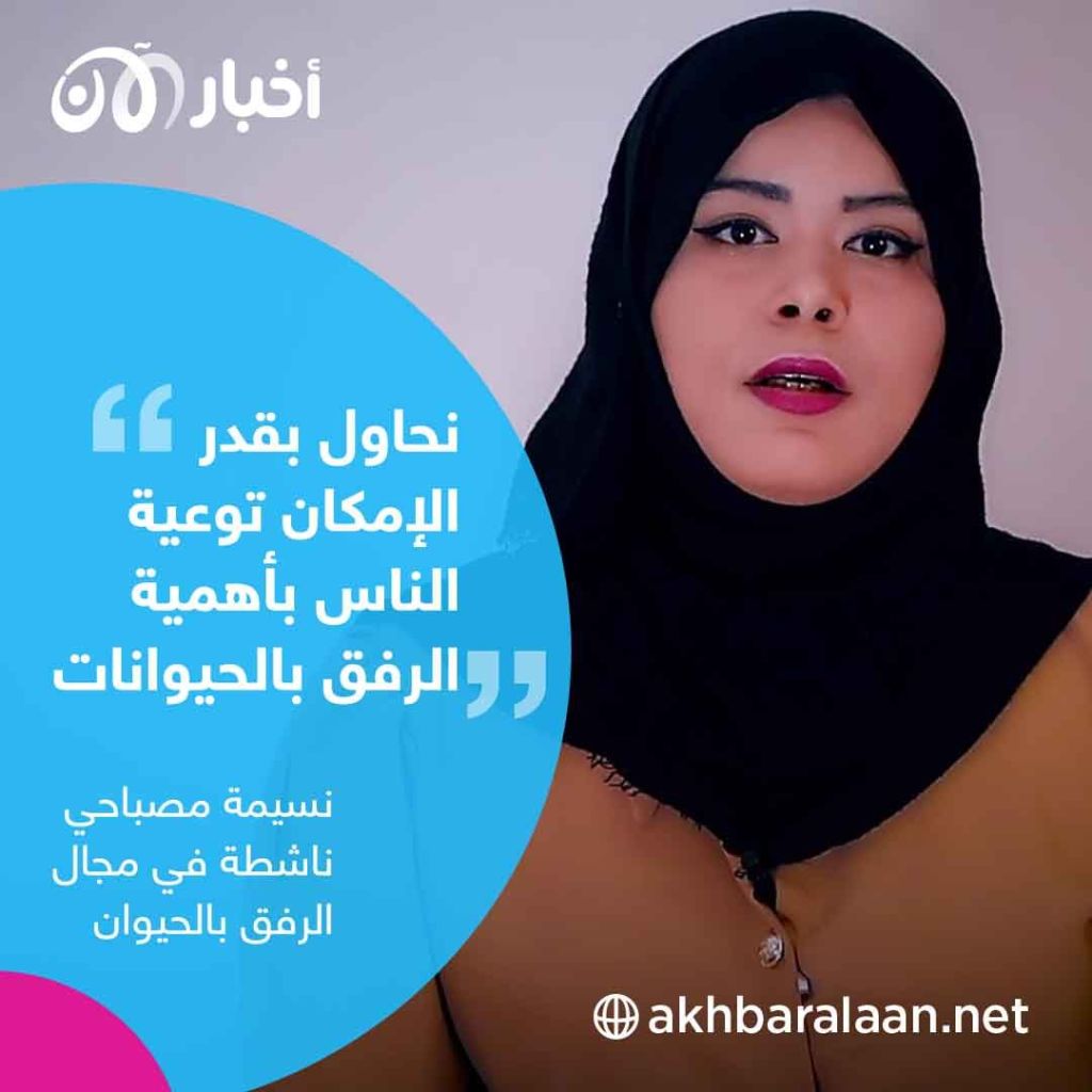 أوقفوا قتل القطط والكلاب الضالة.. حملة في الجزائر لوقف “القالوفة"