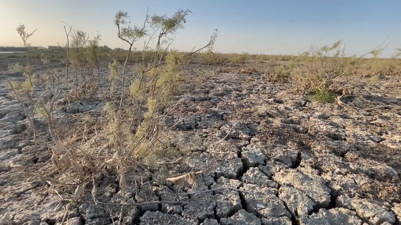 "نحفر الآبار لكنها مالحة".. استغاثة مزارعي العراق لوقف الحصار الإيراني لمياه دجلة والفرات
