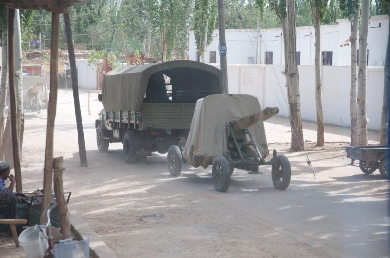 شينجيانغ - الإيغور