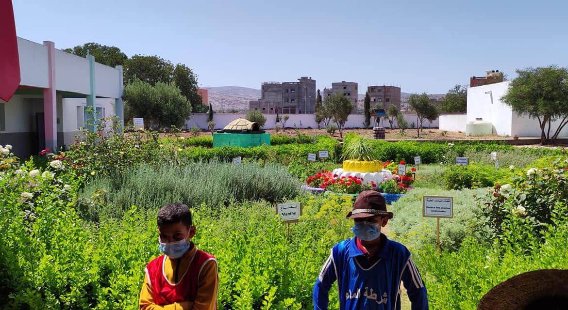 الأندية البيئية بالمؤسسات بالصويرة.. حلول تربوية في مواجهة تغير المناخ 5 أطفال مغاربة يساهمون في ترشيد الطاقة والمياه والحافظ على التنوع الإيكولوجي