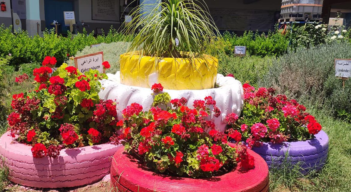 الأندية البيئية بالمؤسسات بالصويرة.. حلول تربوية في مواجهة تغير المناخ 6 الأندية البيئية بالمؤسسات بالصويرة.. حلول تربوية في مواجهة تغير المناخ