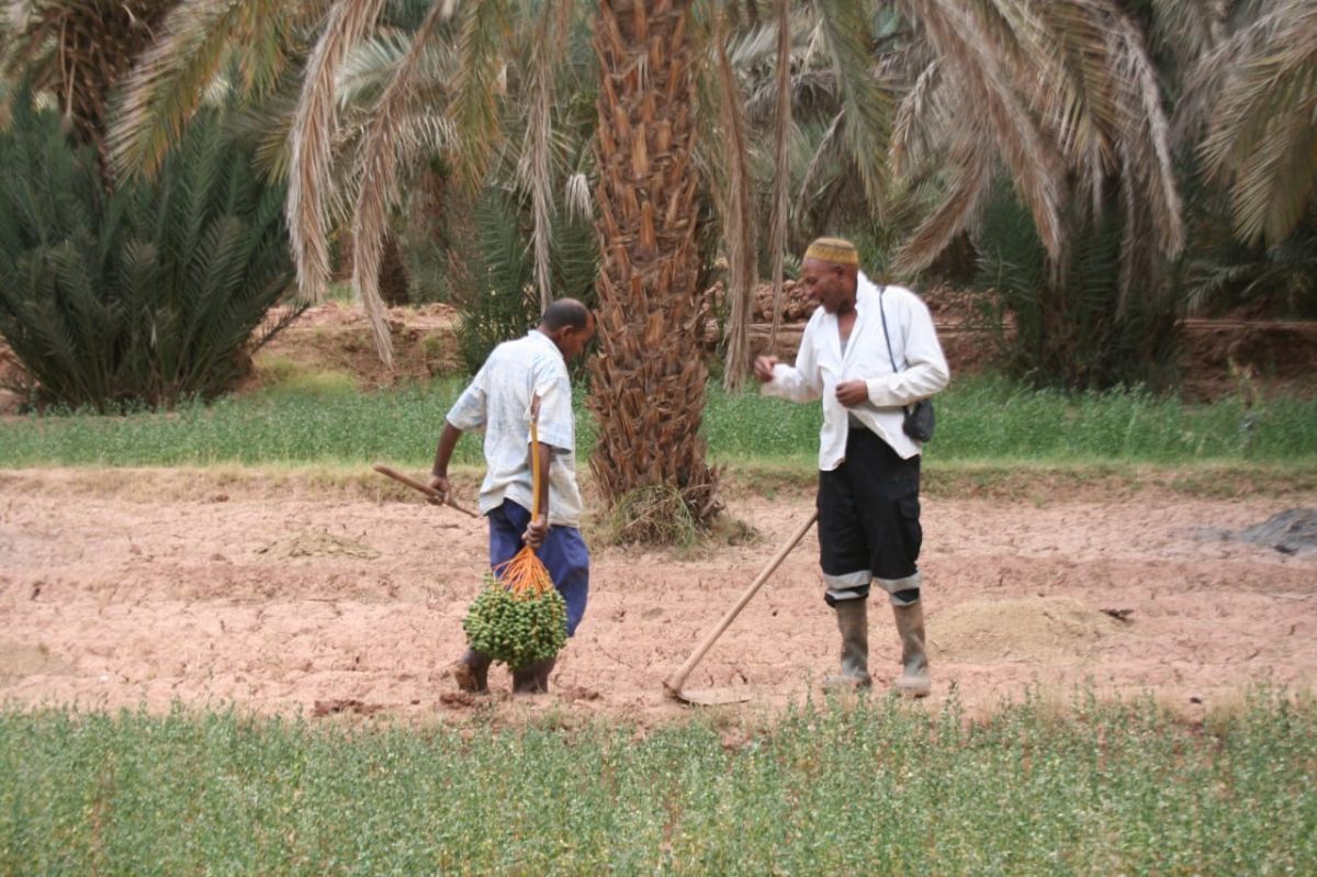 سكان قصر تغفرت بالمغرب يواجهون تأثيرات التغيّر المناخي بحلول محلية