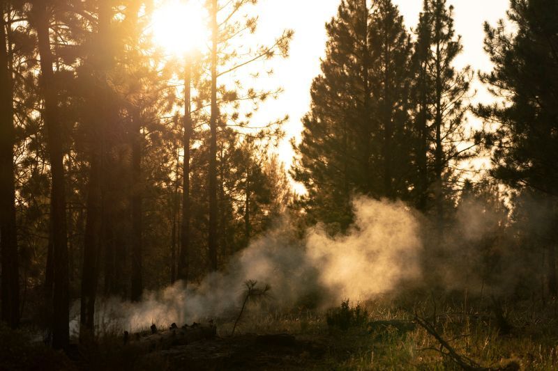 كاليفورنيا