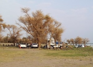 صورة أشجار في غابة تبين آثار موجات الجفاف