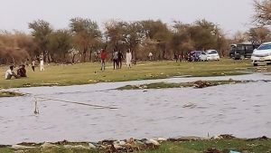 غابات السودان في وضع هش بسبب التغير المناخي والحلول لا زالت قاصرة