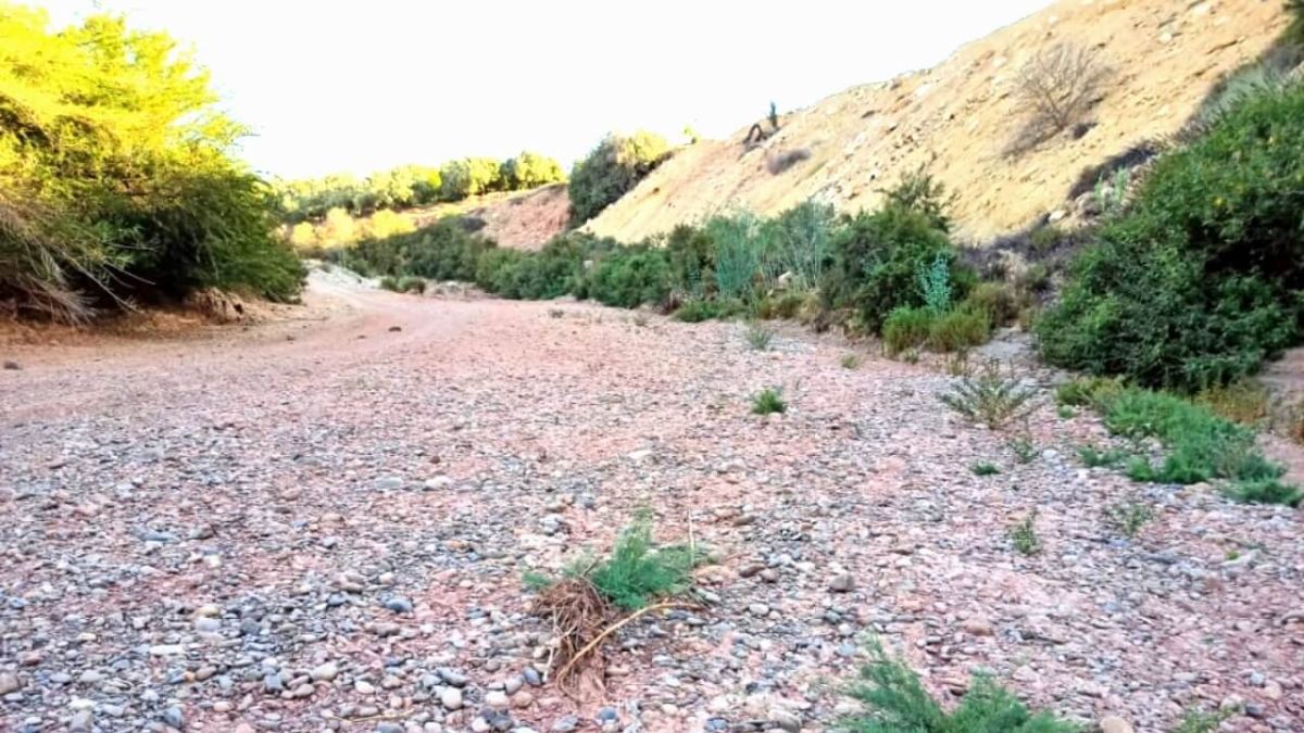 الجفاف يقضي على التنوع الفلاحي والبيولوجي بنواصر المغربية ويدفع سكانها للهجرة قسرًا