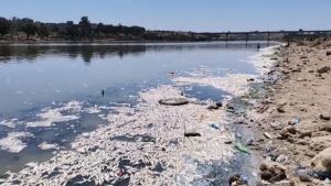 التغير المناخي والتلوث يهددان التنوع الإحيائي بنهر أم ربيع بأزمور بالمغرب