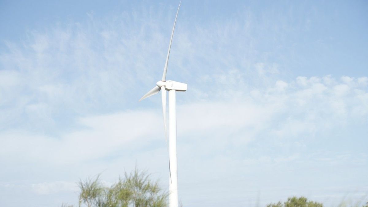 طاقة الرياح .. فرصة للتنمية المستدامة دون الإضرار بالمناخ بالصويرة