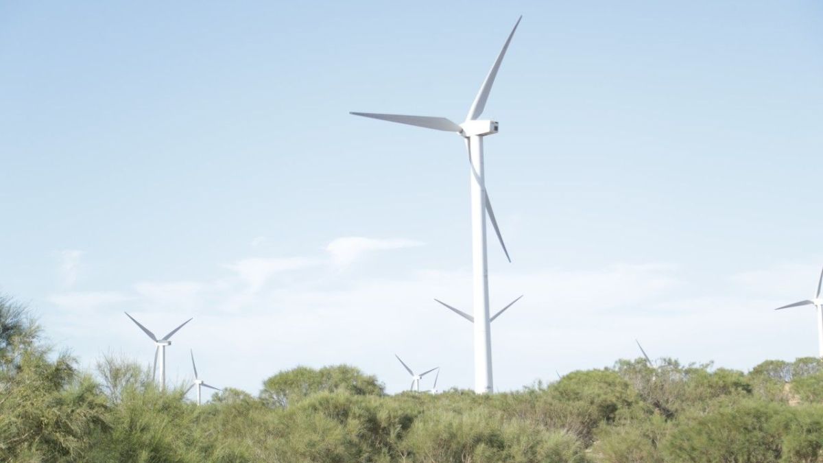 طاقة الرياح .. فرصة للتنمية المستدامة دون الإضرار بالمناخ بالصويرة