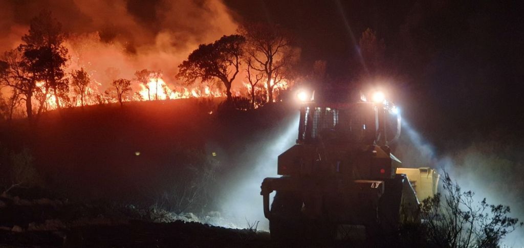 حرائق الغابات