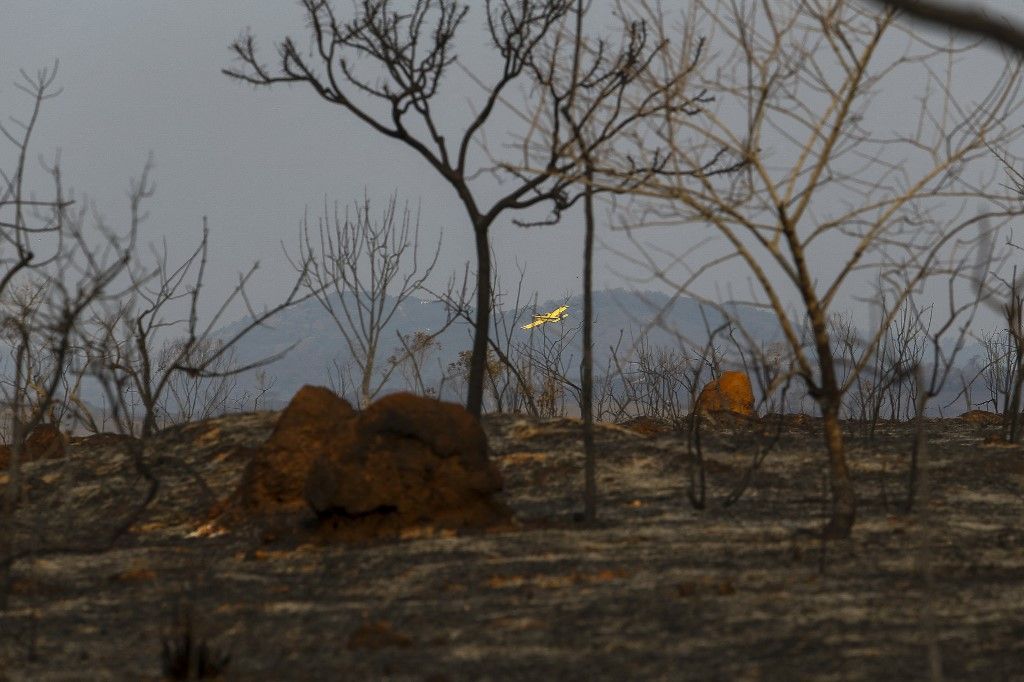 بسبب منطاد.. احتراق محميّة طبيعية في البرازيل