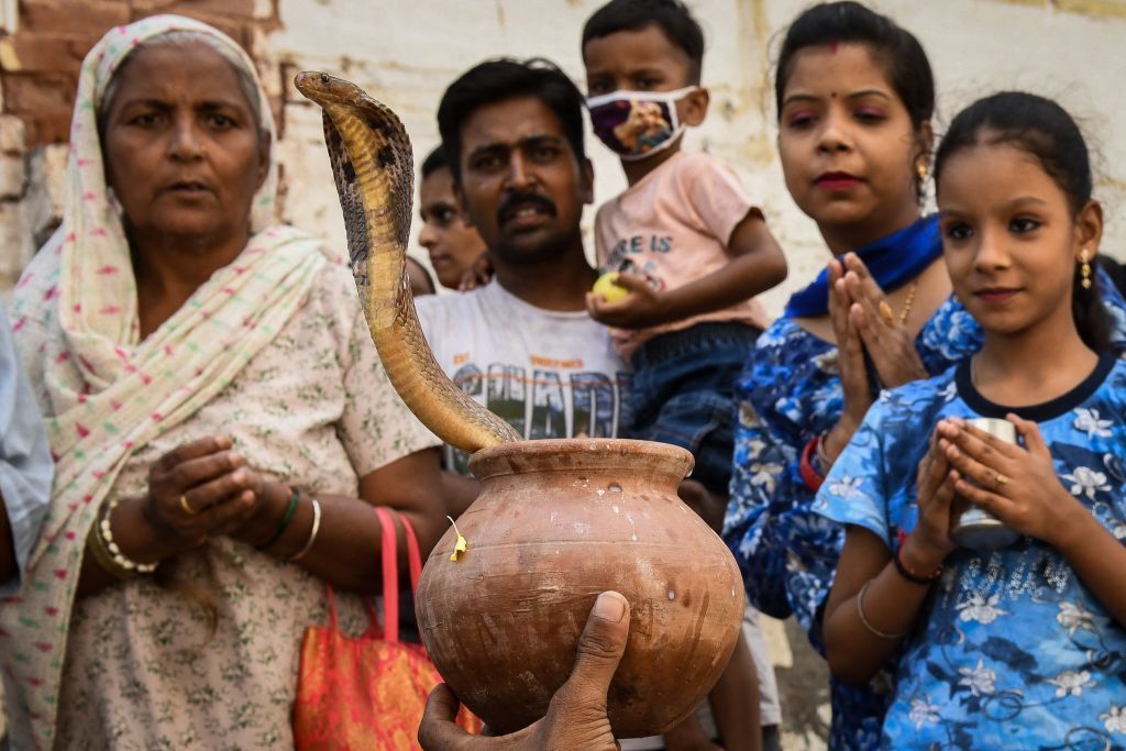 ماذا يجري في الهند؟ حمى غامضة تفتك بالأطفال 9 ماذا يجري في الهند؟ حمى غامضة تفتك بالأطفال