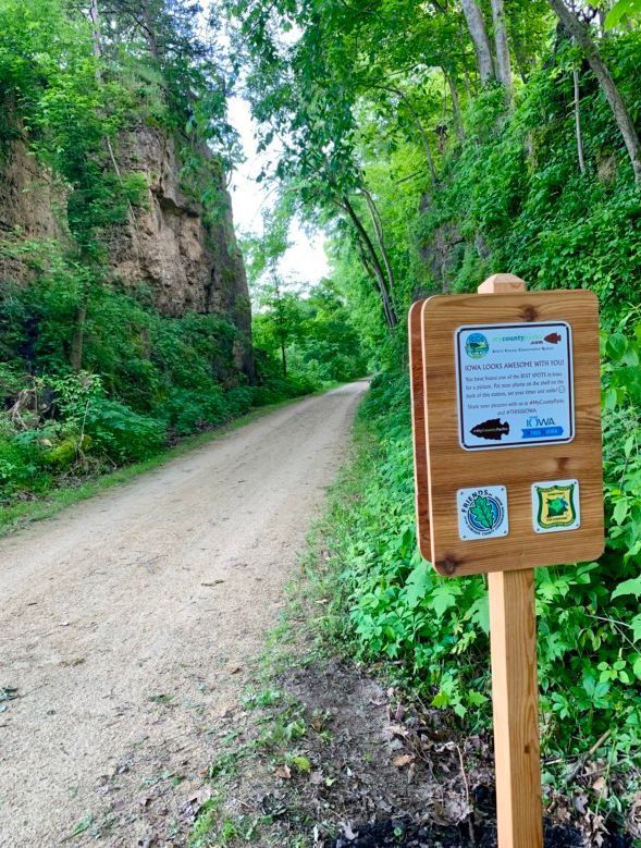 للحد من الازدحام.. "محطات سيلفي" في متنزهات أمريكية 2 للحد من الازدحام.. "محطات سيلفي" في متنزهات أمريكية