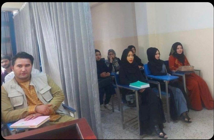 بالصور.. طالبان تضع حاجزا بين الإناث والذكور في الجامعات