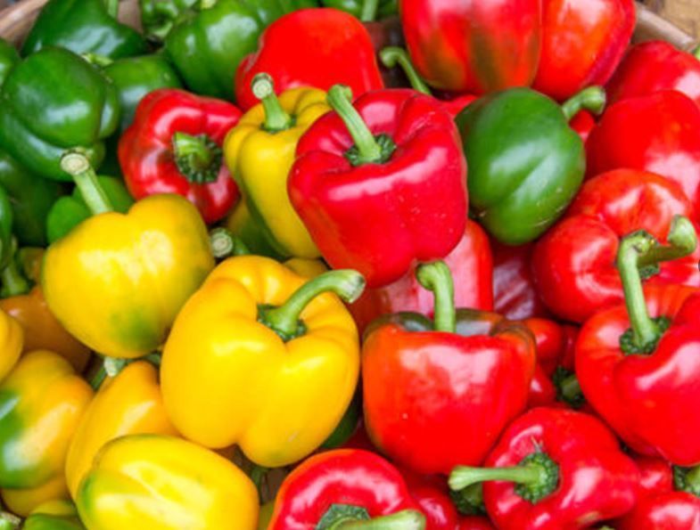 حلول لتقوية المناعة في زمن الكورونا