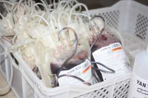 85 متبرعًا بالدم بوجدة في حملة عبر فيسبوك 1 85 متبرعًا بالدم بوجدة في حملة عبر فيسبوك