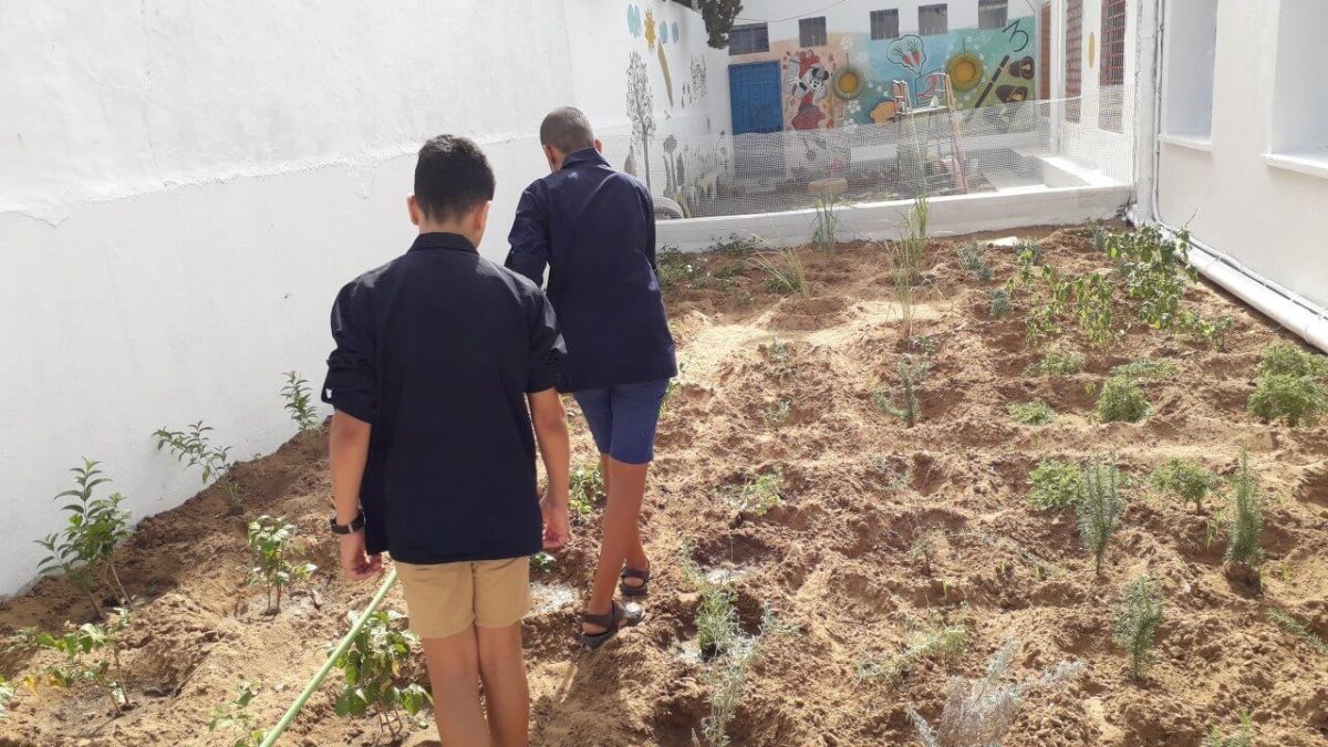 مدرسة الجمهورية بالحمامات نموذج للمدارس الإيكولوجية