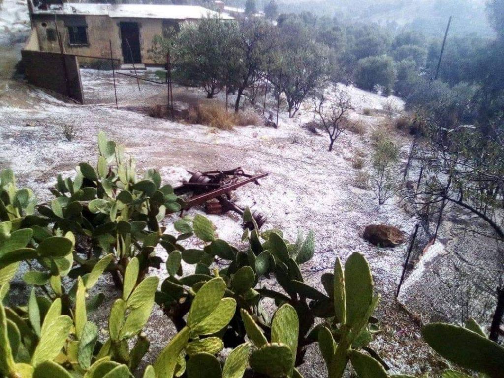 الجزائر.. أمطار طوفانية في عدة مناطق والحماية المدنية تنتشر للسيطرة على الأوضاع 1 الجزائر.. أمطار طوفانية في عدة مناطق والحماية المدنية تنتشر للسيطرة على الأوضاع