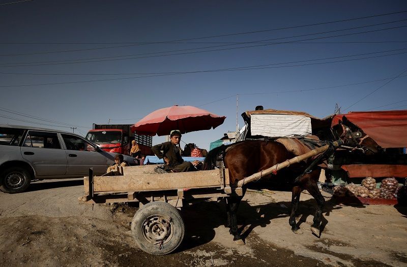 أزمة بطالة في أفغانستان.. يوم مع محمد موسى في شوارع كابول 2 أزمة بطالة في أفغانستان.. يوم مع محمد موسى في شوارع كابول