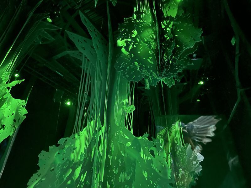 جناح الفلبين في إكسبو دبي .. تاريخ من بانغكوتا ومسيرة 4000 سنة من الاستدامة الثقافية