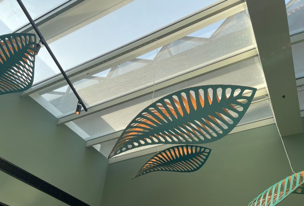 جناح نيوزيلندا في إكسبو 2020 يعكس أهمية وحدة الإنسان والبيئة 2 نيوزيلندا