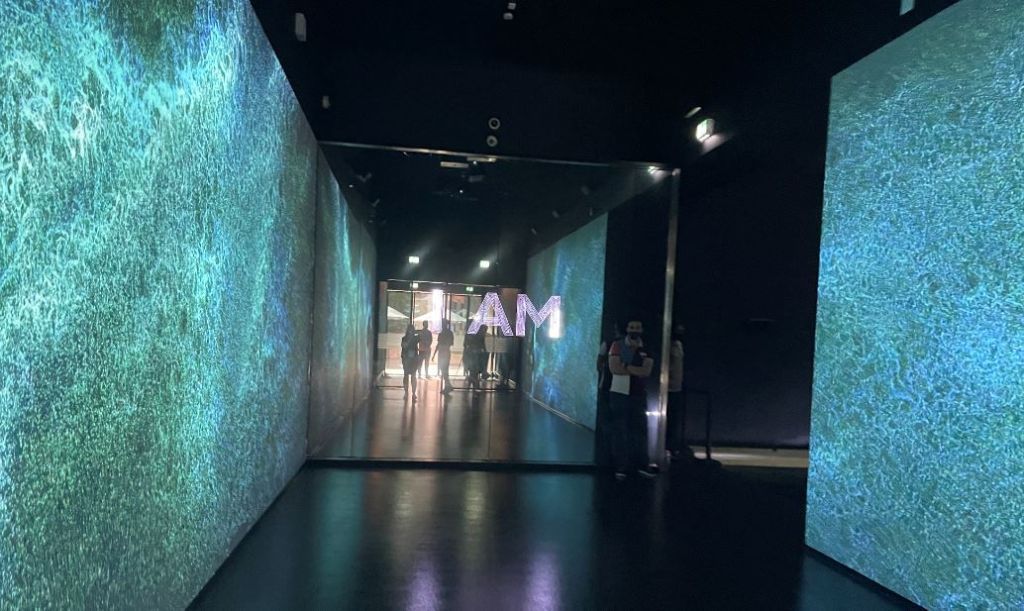 جناح نيوزيلندا في إكسبو 2020 يعكس أهمية وحدة الإنسان والبيئة 5 نيوزيلندا