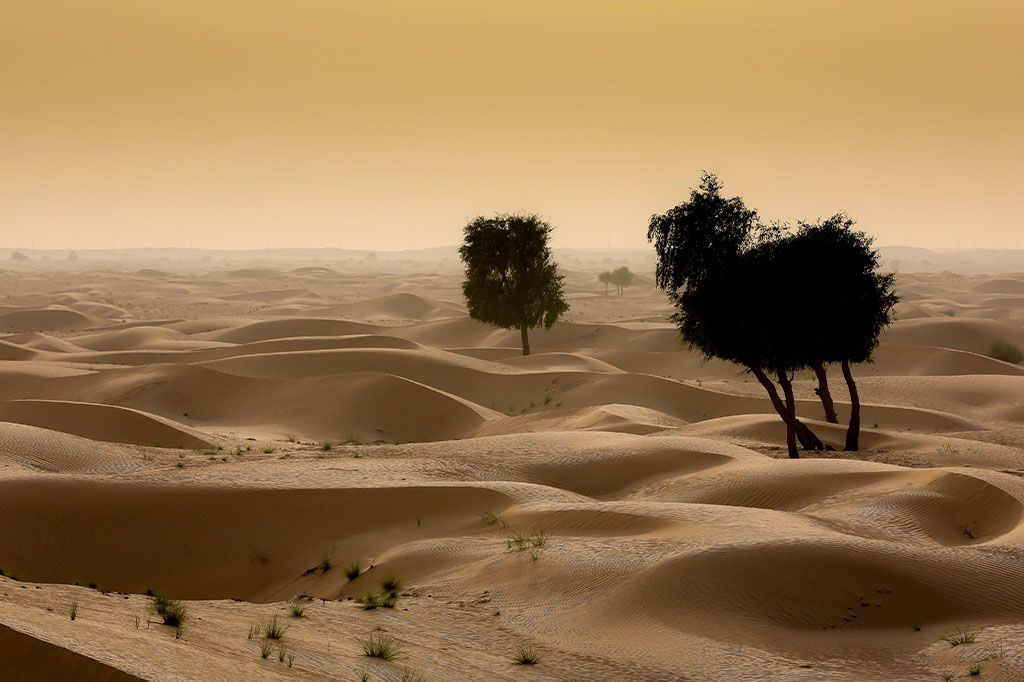 في يوبيلها الذهبي.. تعرف على الإمارات من خلال 50 وجهة يجب أن تزورها 10 في يوبيلها الذهبي.. تعرف على الإمارات من خلال 50 وجهة يجب أن تزورها