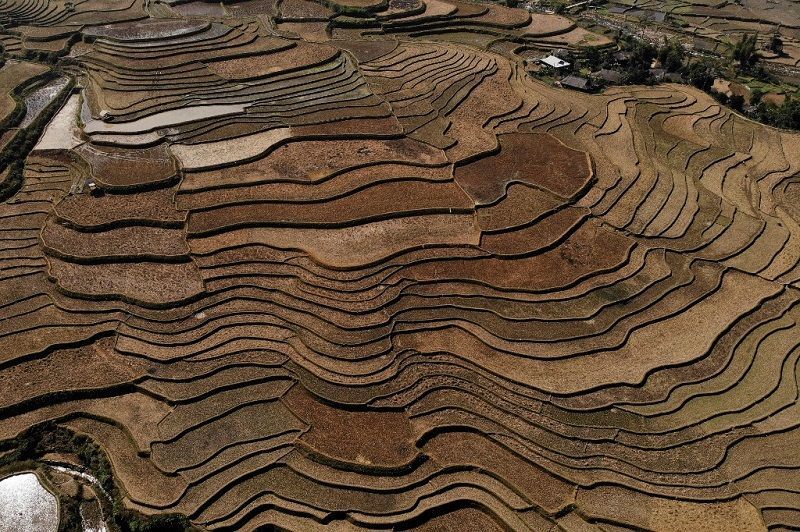 حقول الأرز لوحة خلابة في شمال فيتنام 4 حقول الأرز لوحة خلابة في شمال فيتنام