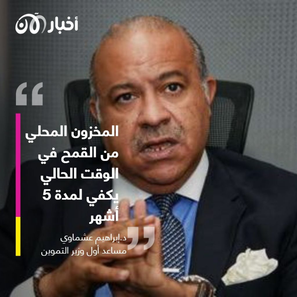 ما تداعيات الأزمة الأوكرانية على مصر؟