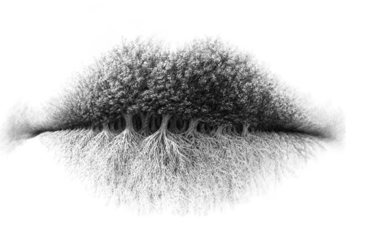  صورة تكشف عن شخصيتك.. أخبرنا ماذا رأيت أولاً؟ 