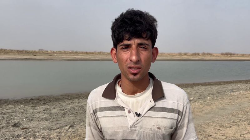 "المياه انتهت والجوع قتلنا".. استغاثة مزارعي العراق بسبب الجفاف في بلاد الرافدين 2 "المياه انتهت والجوع قتلنا".. استغاثة مزارعي العراق بسبب الجفاف في بلاد الرافدين