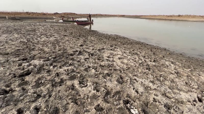 "المياه انتهت والجوع قتلنا".. استغاثة مزارعي العراق بسبب الجفاف في بلاد الرافدين 4 "المياه انتهت والجوع قتلنا".. استغاثة مزارعي العراق بسبب الجفاف في بلاد الرافدين