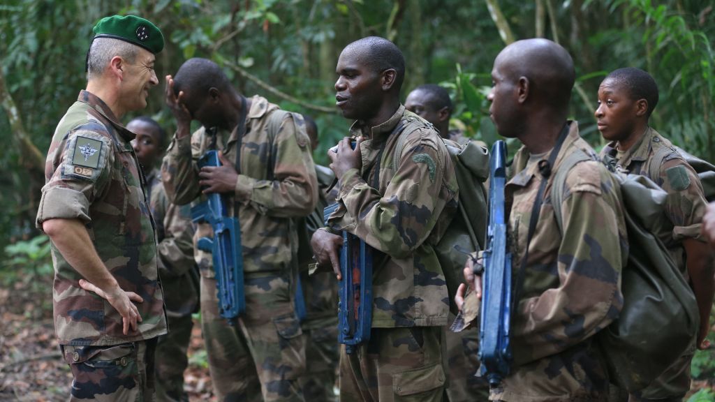 فرنسا تدعو القوات الإفريقية إلى محاربة داعش في منطقة الساحل