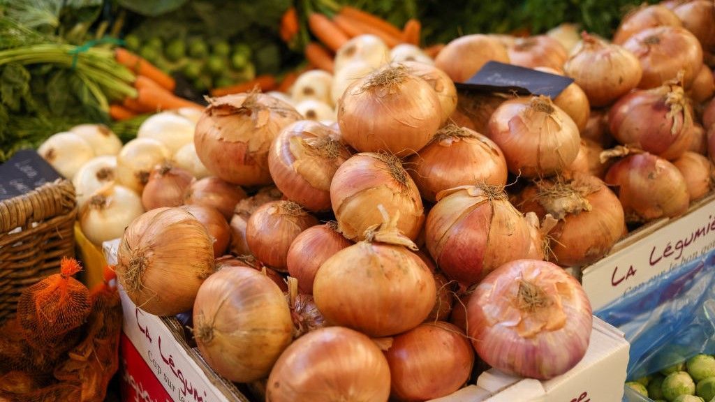 هل البصل يمتصّ الفيروسات والإنفلونزا من المنزل؟ خرافة أم حقيقة؟