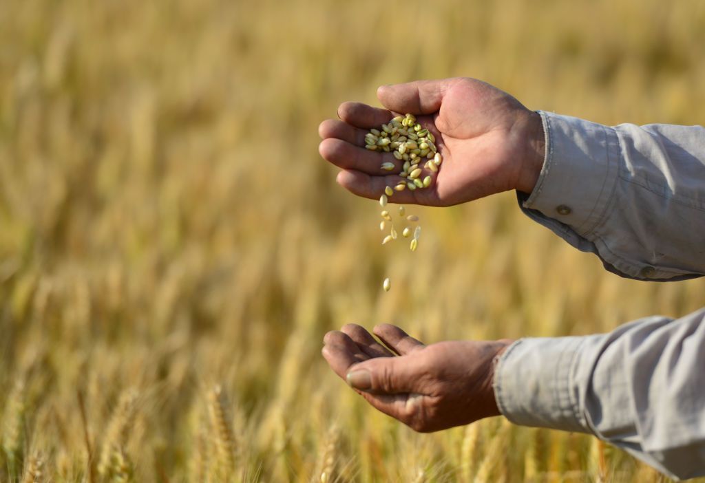 الغزو الروسي لأوكرانيا