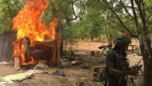 نيجريا.. الجيش والقوة المشتركة تطهر 14 موقعا لداعش