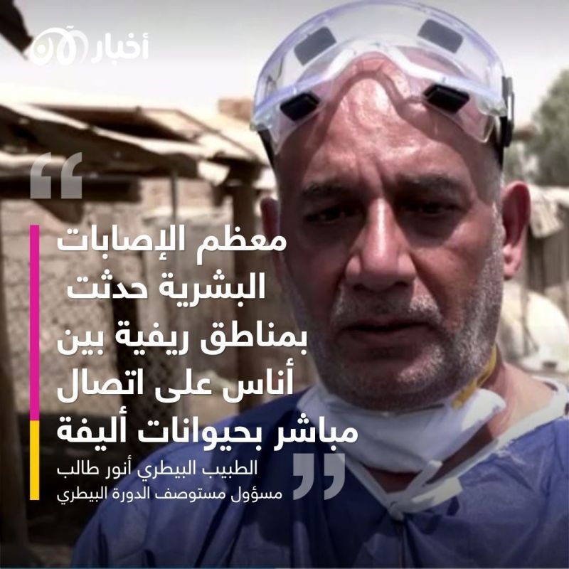 الحمى النزفية في العراق.. الحكومة تحاول تدارك الأسوأ 2 الحمى النزفية في العراق.. الحكومة تحاول تدارك الأسوأ